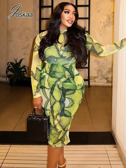 Women's Mesh Long Sleeve Bodycon Dress - Front View