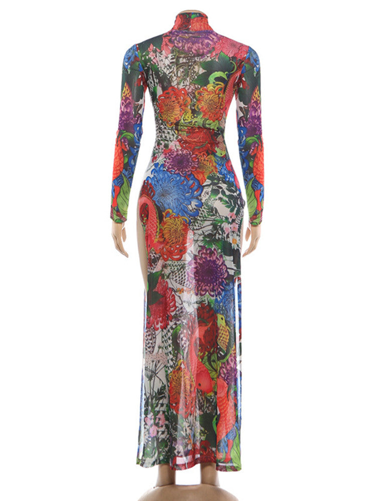 Joskaa Mesh Long Sleeve Maxi Dress See Through Vacation - maxi dress image 4
