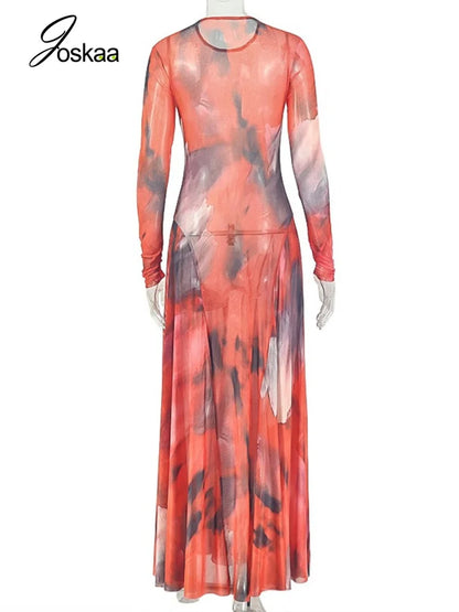 Women's Mesh Long Sleeve Bodycon Maxi Dress Mixed – Detail View