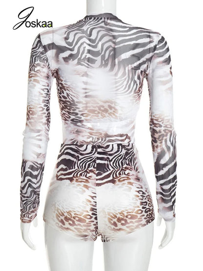 Women's Leopard Print Zebra Print Mesh Long Sleeve Two Piece Set - Detail View