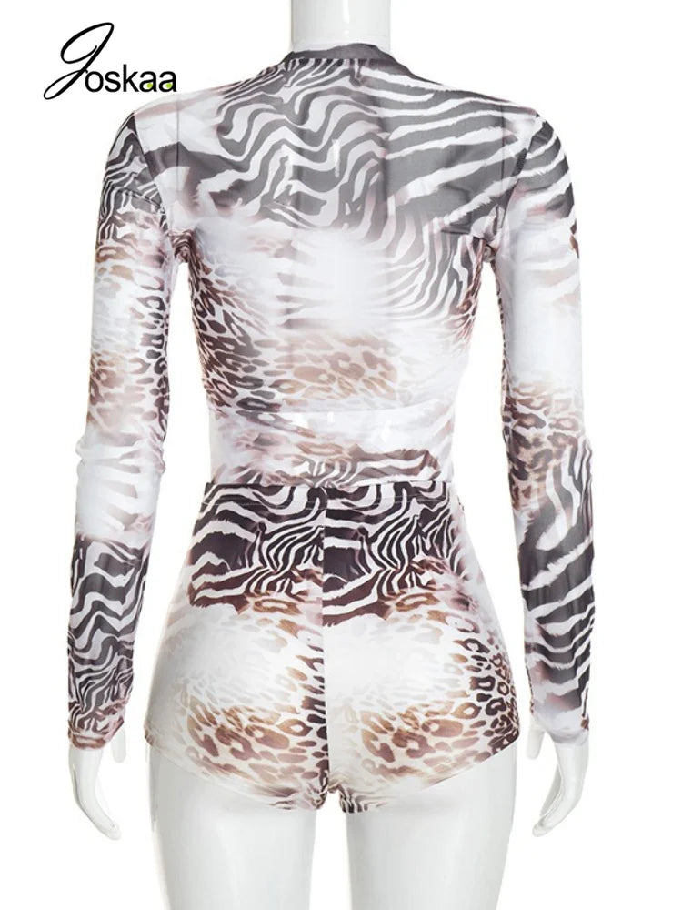 Women's Leopard Print Zebra Print Mesh Long Sleeve Two Piece Set - Detail View