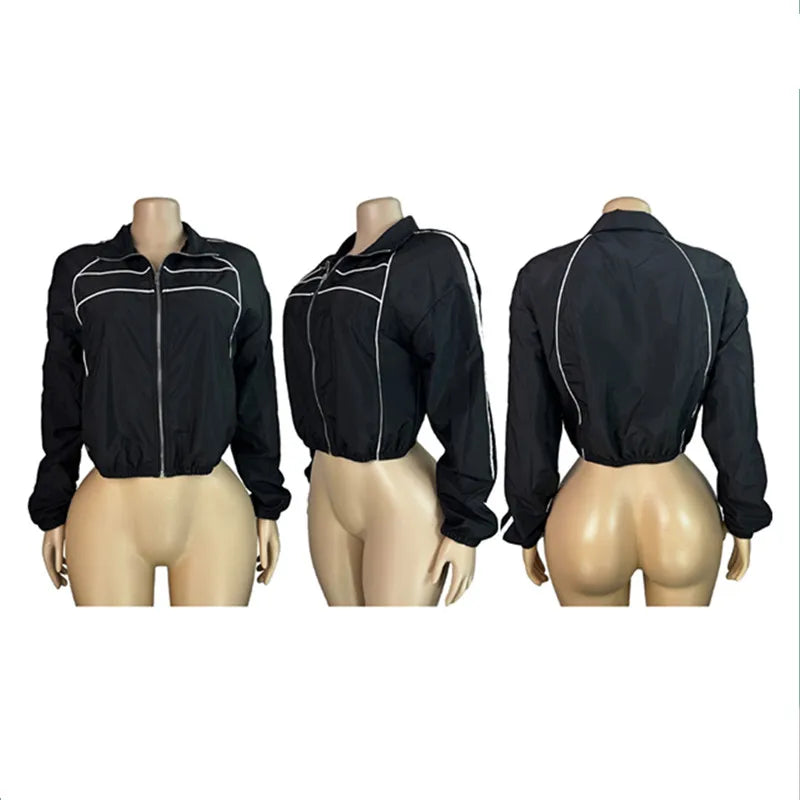 Wholesale Women's Stripe Long Sleeve Zip Jacket