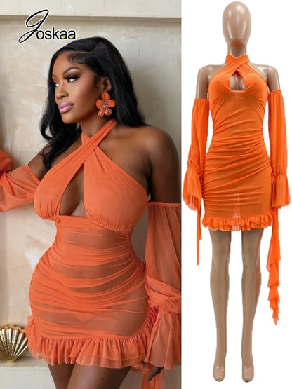 Women's Mesh Backless Halter Long Sleeve Mini Dress – Women's Fashion Wholesale – Front View