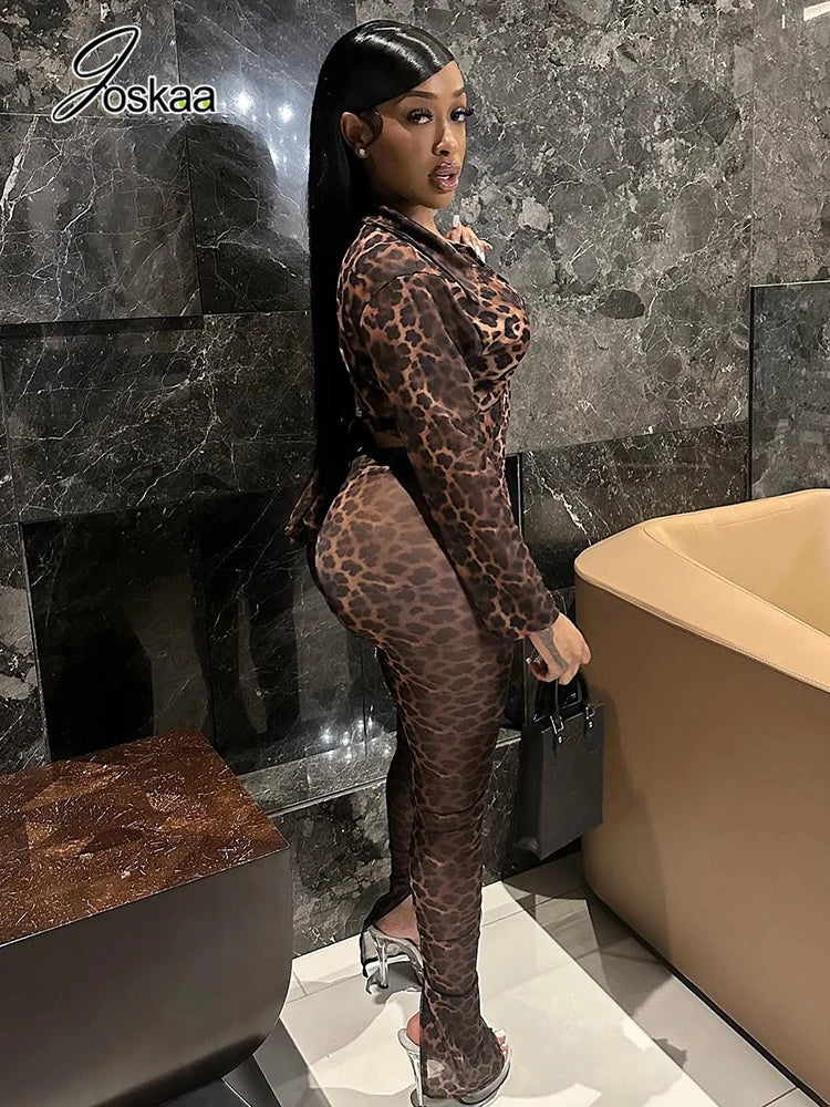 Women's Leopard Print Mesh Long Sleeve Two Piece Set Dark Brown – Front View