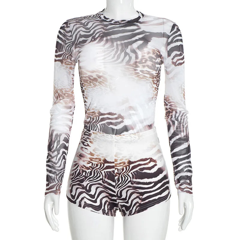 Women's Leopard Print Zebra Print Mesh Long Sleeve Two Piece Set - Additional View 9