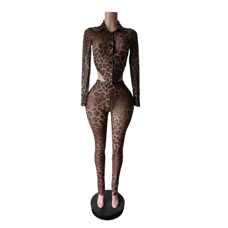 Women's Leopard Print Mesh Long Sleeve Two Piece Set