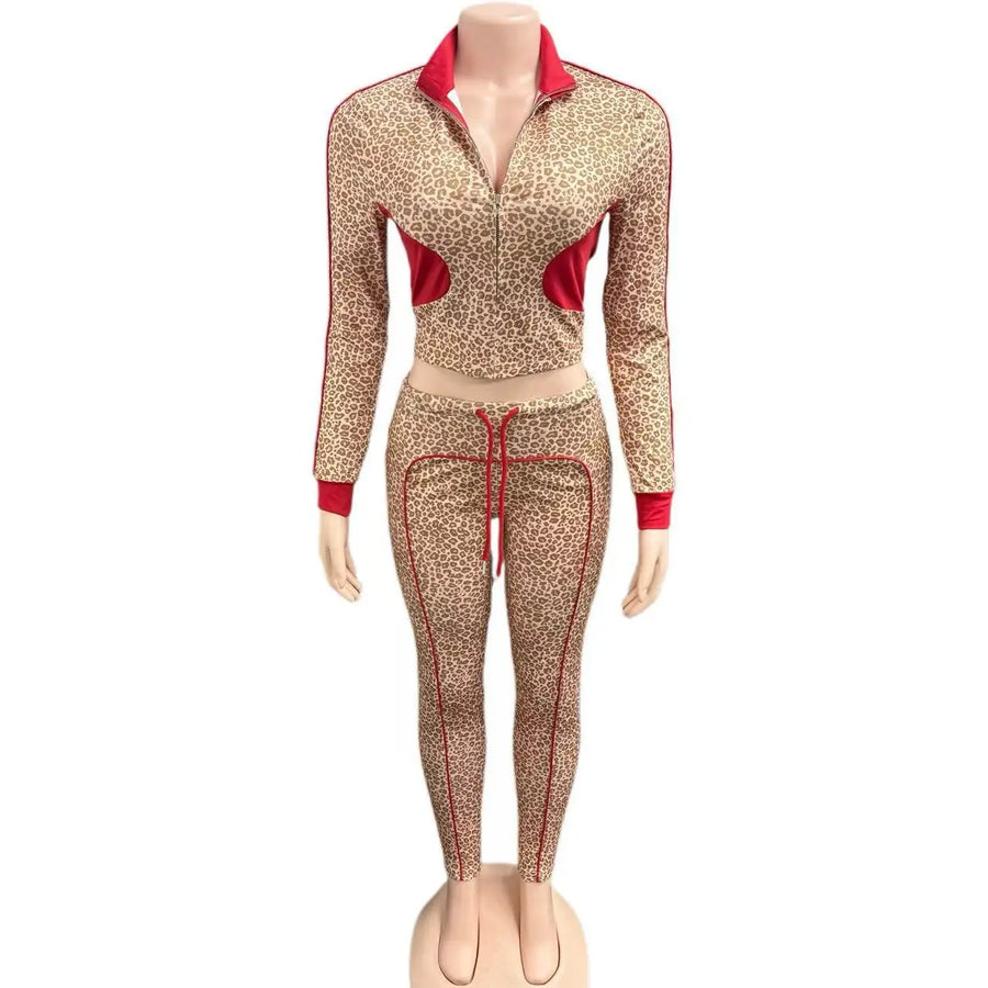 Women's Leopard Print Long Sleeve Two Piece Set