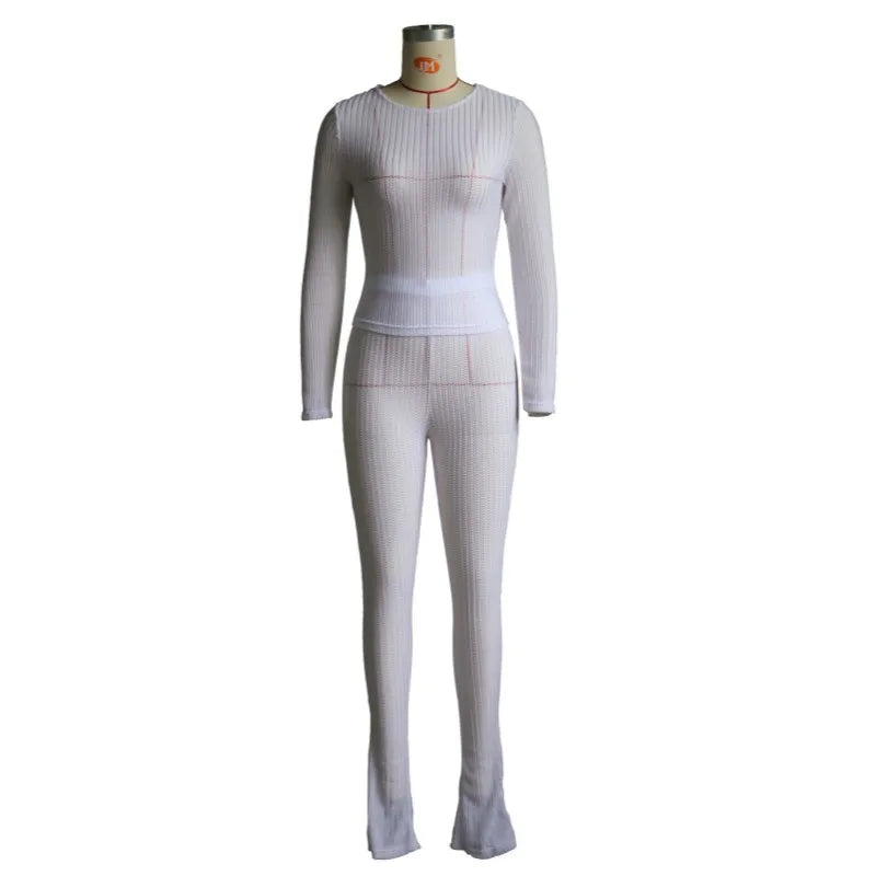Women's Mesh Long Sleeve High Waist Two Piece Set