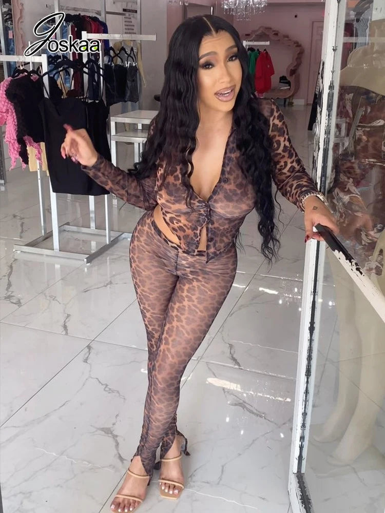 Women's Leopard Print Mesh Long Sleeve Two Piece Set – Women's Fashion Wholesale – Front View