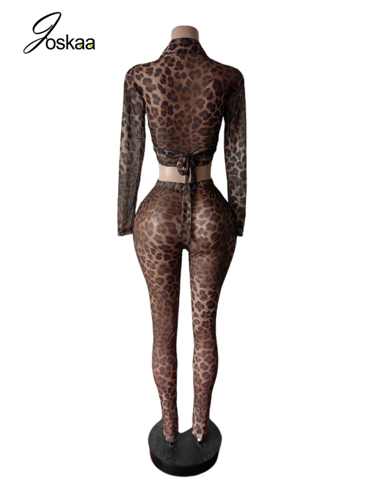 Women's Leopard Print Mesh Long Sleeve Two Piece Set Dark Brown – Detail View