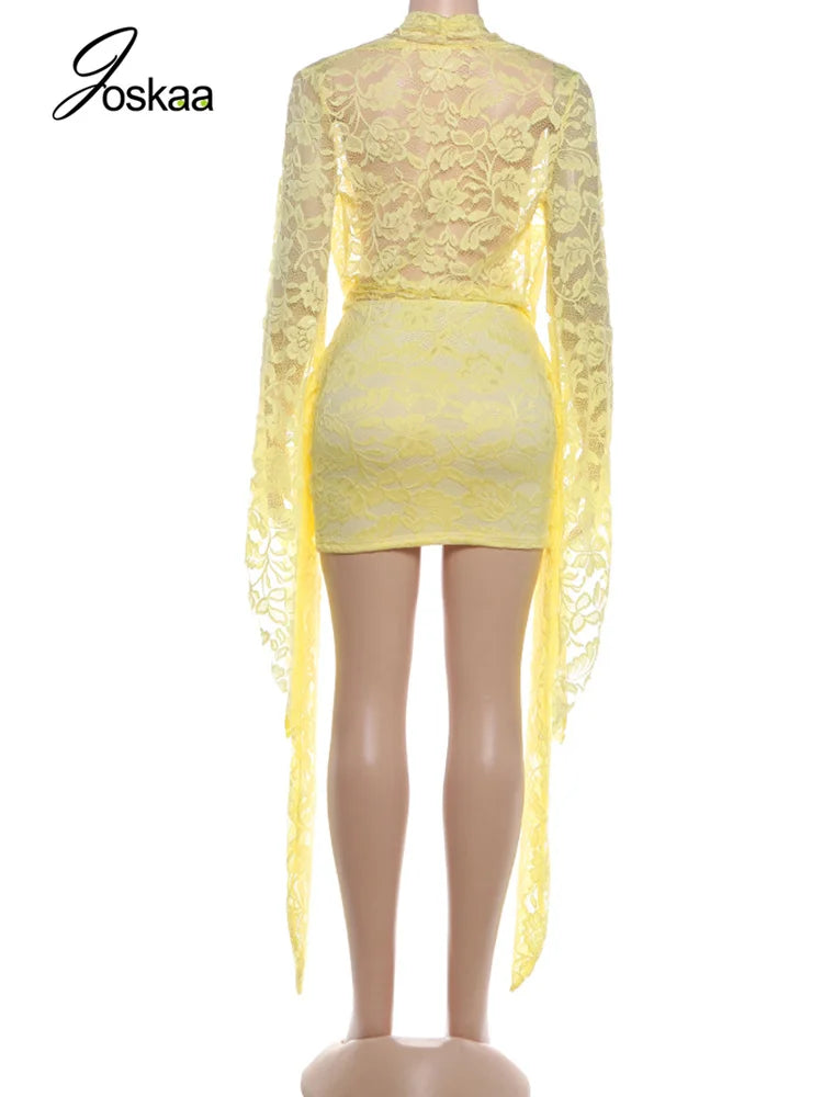Women's Lace Mesh Bodycon Flare Mini Dress Pink – Detail View
