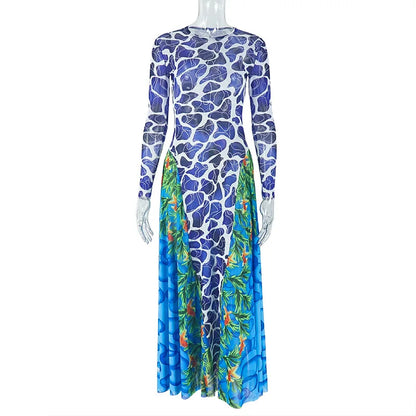 Women's Floral Print Mesh Long Sleeve Maxi Dress