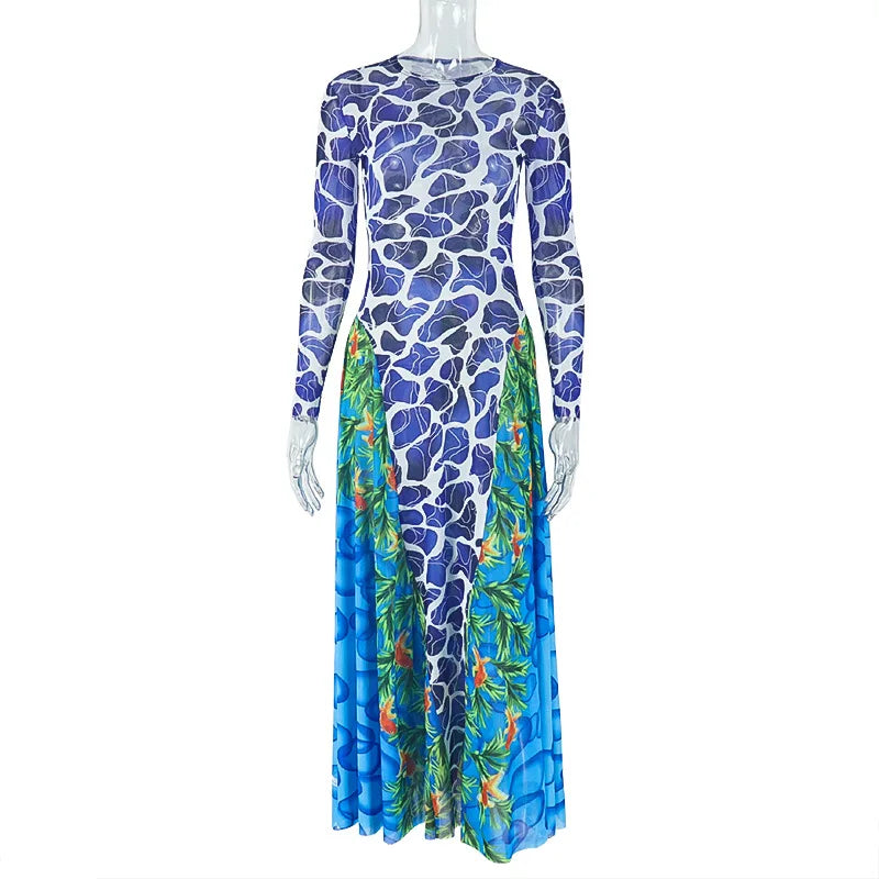 Women's Floral Print Mesh Long Sleeve Maxi Dress