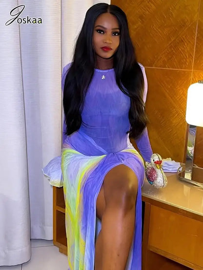 Wholesale Women's Mesh Long Sleeve Bodycon Dress Violet – Front View