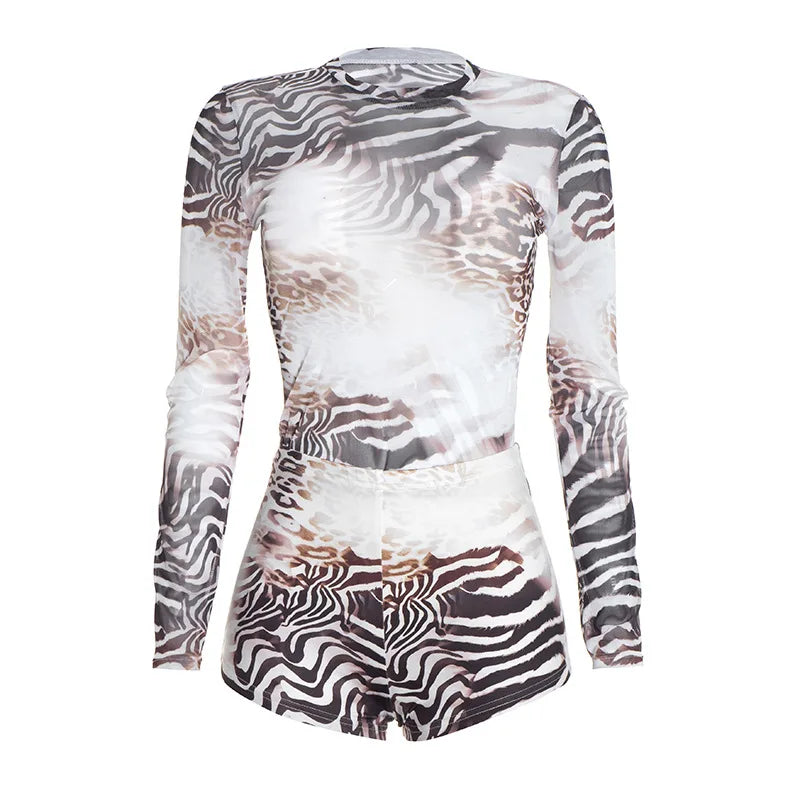 Women's Leopard Print Zebra Print Mesh Long Sleeve Two Piece Set - Additional View 7