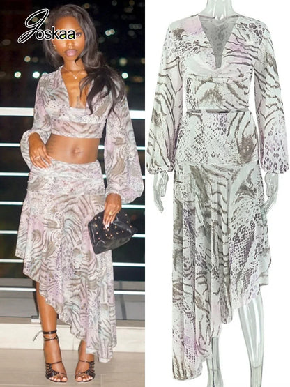 Women's Zebra Print Snake Print Mesh V-neck Two Piece Set - Front View