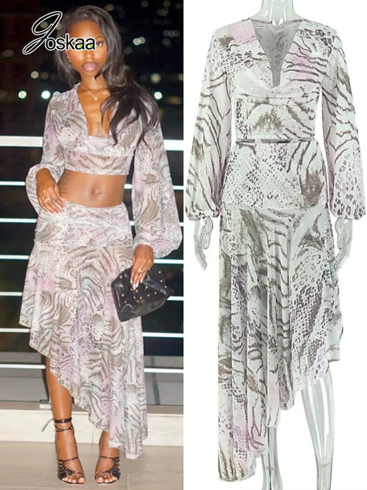Women's Zebra Print Snake Print Mesh V-neck Two Piece Set - Front View