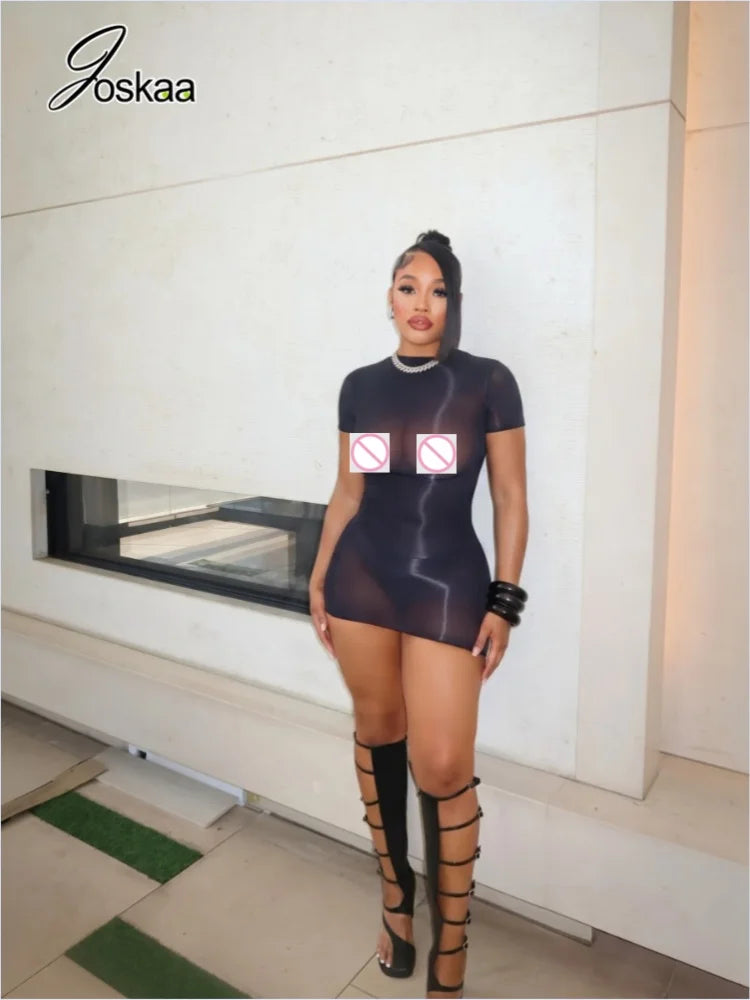 Wholesale Women's Mesh Short Sleeve Bodycon Dress Skin – Front View