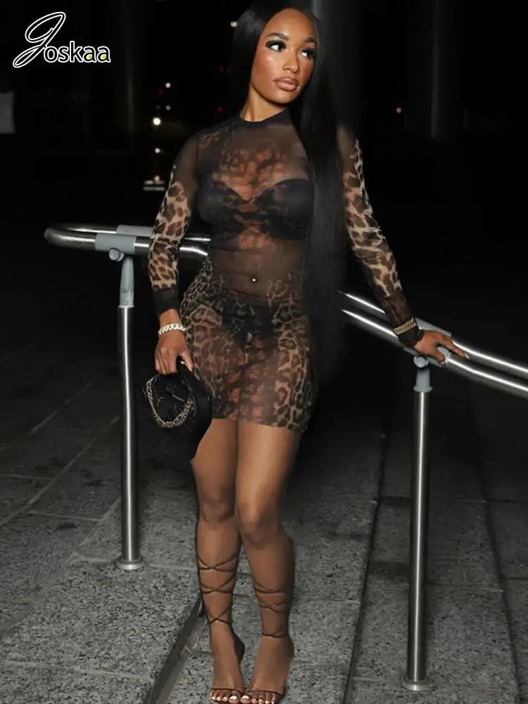 Women's Leopard Print Mesh Long Sleeve Mini Dress Leopard Print – Front View