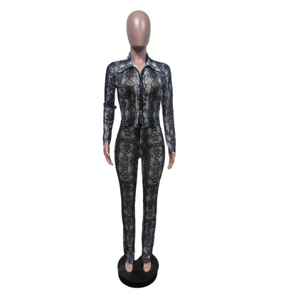 Women's Snake Print Mesh Long Sleeve Two Piece Set