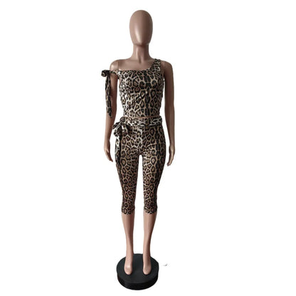 Women's Leopard Print Crop Two Piece Set