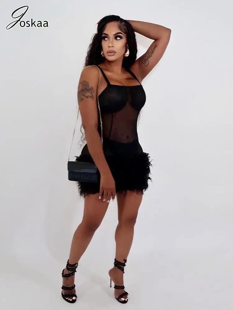 Women's Mesh Bodycon Fall Sheer Black Mini Dress Black – Front View