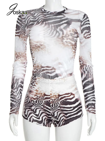 Women's Leopard Print Zebra Print Mesh Long Sleeve Two Piece Set - Back View