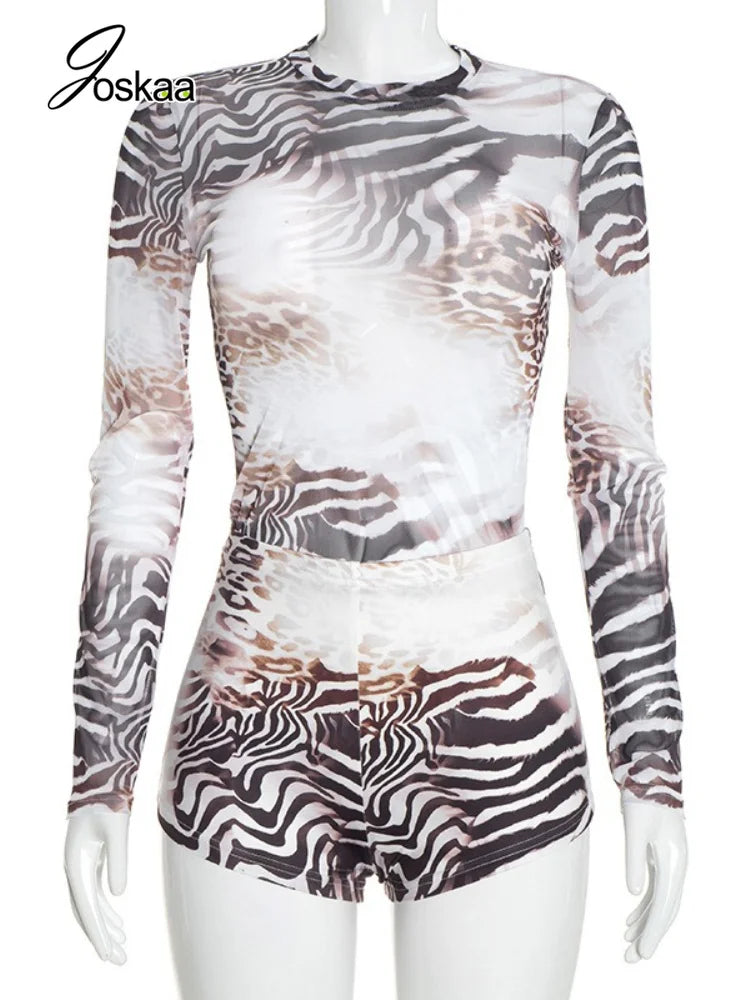 Women's Leopard Print Zebra Print Mesh Long Sleeve Two Piece Set - Back View