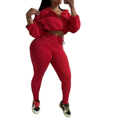 Joskaa Zip Up Long Sleeve Crop Two Piece Set - two piece set image 9