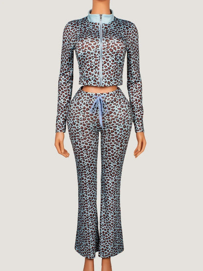 Women's Leopard Print Long Sleeve Crop Two Piece Set