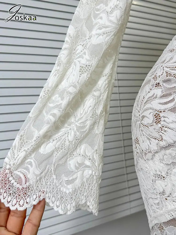 Joskaa Lace Long Sleeve Bodycon Maxi Dress - maxi dress image 4