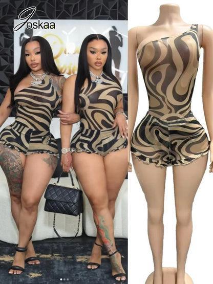 Women's Zebra Print Stripe Mesh Two Piece Set – Women's Fashion Wholesale – Front View