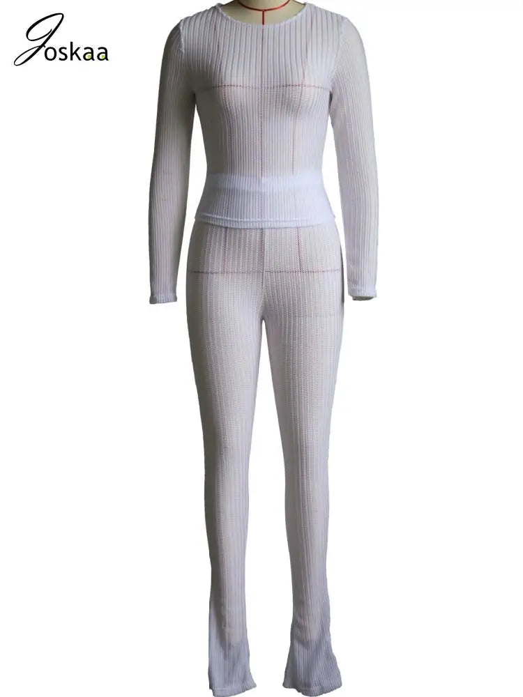 Women's Mesh Long Sleeve High Waist Two Piece Set Light Blue – Back View