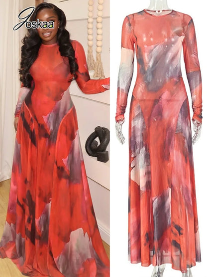 Women's Mesh Long Sleeve Bodycon Maxi Dress – Women's Fashion Wholesale – Front View
