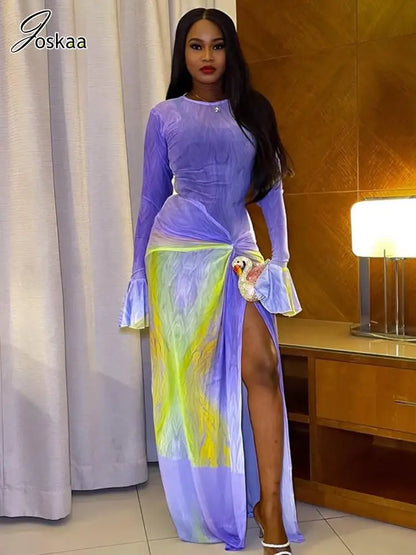 Wholesale Women's Mesh Long Sleeve Bodycon Dress – Women's Fashion Wholesale – Front View