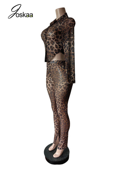 Women's Leopard Print Mesh Long Sleeve Two Piece Set Dark Brown – Back View
